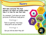 New! Naming Body Parts - EYFS/Reception