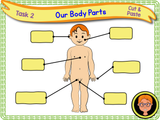 The Human Body - Naming Body Parts KS1/Year 2