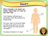 The Human Body - Naming Body Parts KS1/Year 2