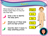 All about bodies KS1 - Year 1