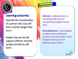 Self-Harm PSHE Lesson