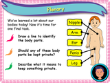 All about bodies KS1 - Year 1