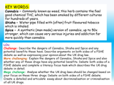 Cannabis, Shesha and Spice - Drugs PSHE Lesson