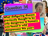 Christmas / End of Year Quiz 2020