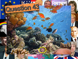 Christmas / End of Year Quiz 2020