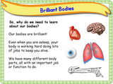 The Human Body - Naming Body Parts KS1/Year 2