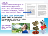 Cannabis, Shesha and Spice - Drugs PSHE Lesson