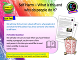 Self-Harm PSHE Lesson