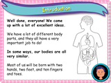 All about bodies KS1 - Year 1