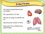 The Human Body - Naming Body Parts KS1/Year 2