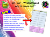 Self-Harm PSHE Lesson