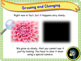 New! Growing and Changing - EYFS/Reception