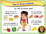 Healthy Food - KS1 - Year 1