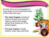 Caring for living things - KS1 - Year 1
