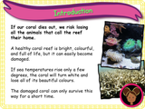 Climate change / global warming - KS1 - Year 1