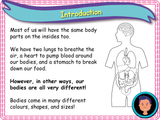 All about bodies KS1 - Year 1