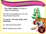 Caring for living things - KS1 - Year 1
