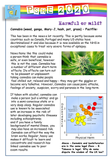 PSHE Workbooks