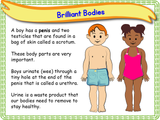 The Human Body - Naming Body Parts KS1/Year 2