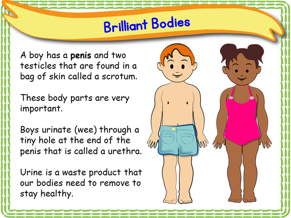 human body parts png