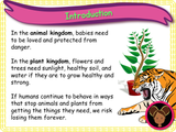 Caring for living things - KS1 - Year 1