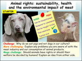 Animal Rights Lesson