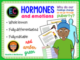 4 Year Pack - Complete Middle School PSHE + RSE