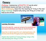 Mindfulness Lesson