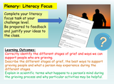 Bereavement + Grief PSHE Lesson