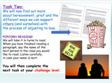 Bereavement + Grief PSHE Lesson