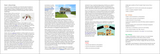 Sixth Form PSHE - KS5 Year 13 (1 Year's Worth)