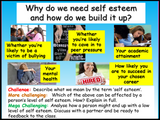 3 Year Pack - Complete Secondary PSHE and RSE KS3 (PLUS STATUTORY CITIZENSHIP + TUTOR TIME PACKAGE)
