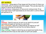 Emotional Literacy and Self-Awareness Lesson