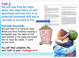 Emotional Literacy and Self-Awareness Lesson