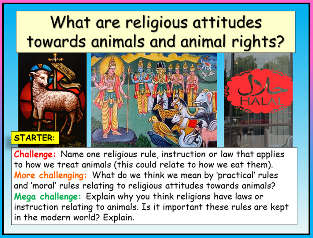 Religious Attitudes Towards Animals