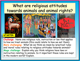 Religious Attitudes Towards Animals