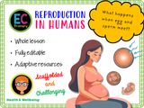 Year 6 Unit 5 - Conception and Puberty (Health and Wellbeing)