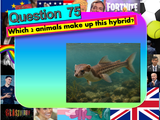 End of Year Quiz Summer 2026!