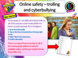 Cyber-bullying, Trolling and Online Safety