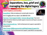 Grief, Loss and Digital Legacies PSHE Lesson