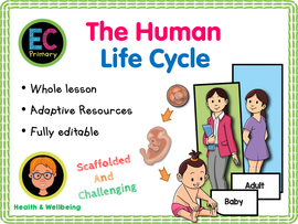 The Human Life Cycle - KS1/Year 2