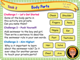 The Human Body - Naming Body Parts KS1/Year 2