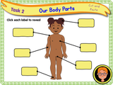 The Human Body - Naming Body Parts KS1/Year 2