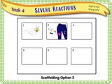 Year 4 - First Aid Part 2 - Allergic Reactions