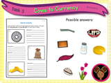 What is Money? KS1/Year 2