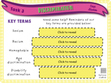 Year 4 - Prejudice, Discrimination and Stereotypes