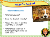Staying Safe - KS1 - Year 1