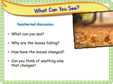 Feelings, Change, and Loss - KS1 - Year 1