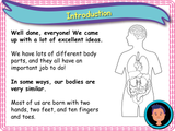 All about bodies KS1 - Year 1