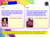 Parenting, Pregnancy + Brain Development RSHE PSHE Lesson